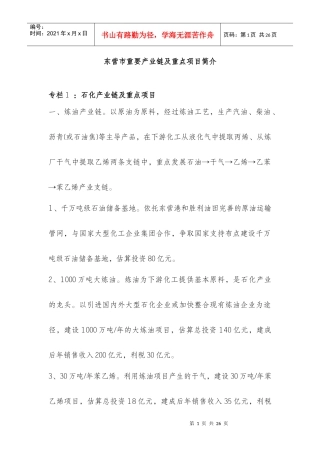 东营市重要产业链及重点项目简介
