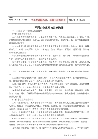 不同企业规模的战略选择(DOC41页)