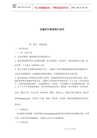 东盛步行街招商计划书(1)