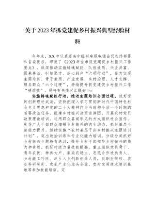 关于2023年抓党建促乡村振兴典型经验材料