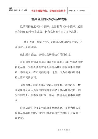 世界名企的玩转多品牌战略doc13(1)