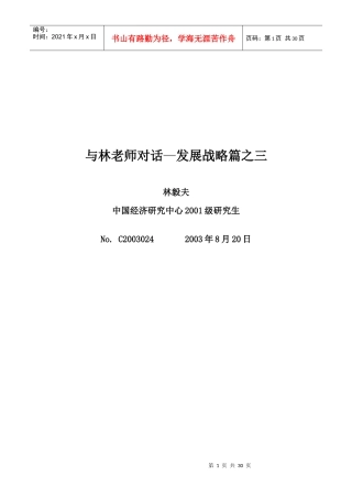 与林老师对话—发展战略篇之三