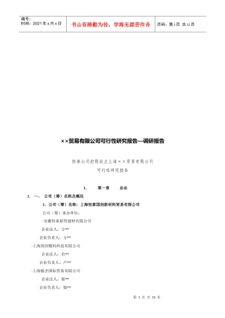 上海某贸易有限公司可行性研究报告