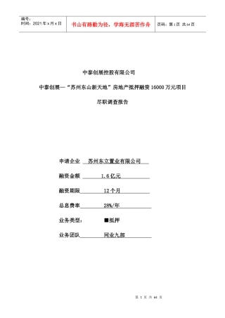 东山新天地6亿项目融资尽职调查报告-打印