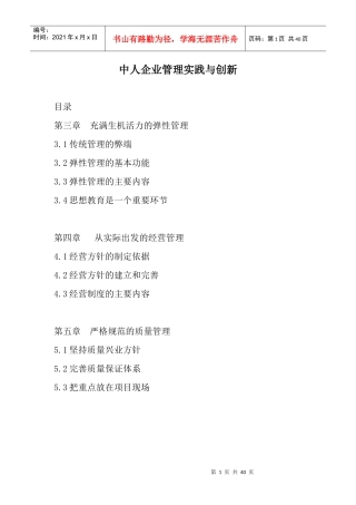 中人企业管理实践与创新（DOC 39）