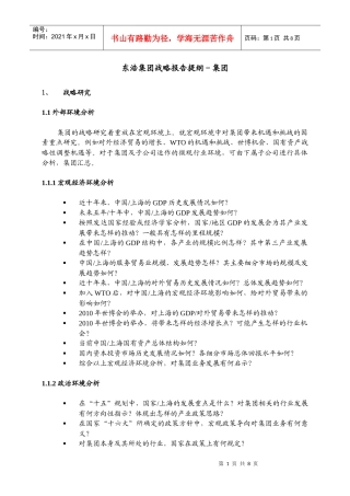 东浩集团战略报告提纲_集团_1