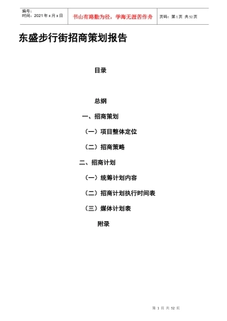 东盛步行街招商策划报告