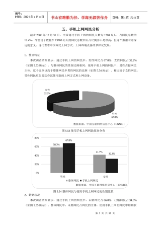 中国互联网络发展状况统计报告二