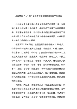 扎实开展“小个专”党建工作引领高质量发展工作报告