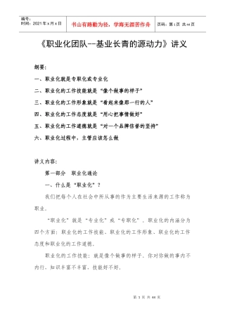 《职业化团队--基业长青的源动力》