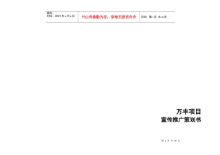 万丰项目宣传推广策划书