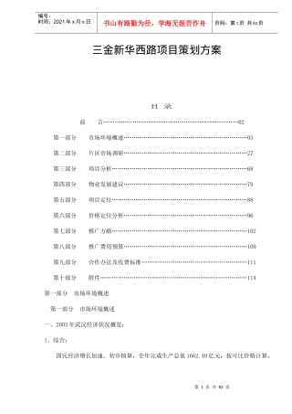 三金新华西路项目策划方案