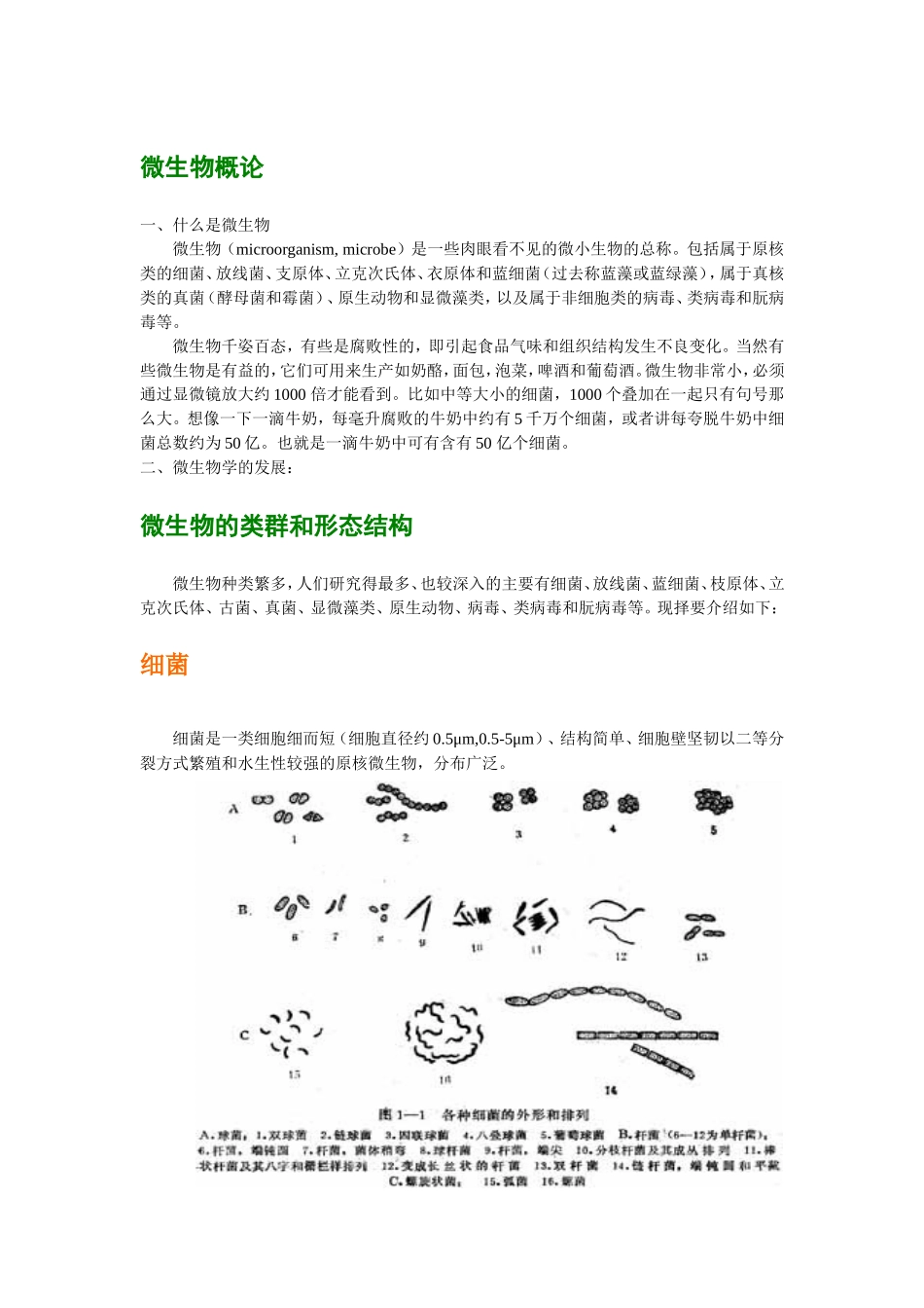 微生物基础知识点梳理汇总_第2页