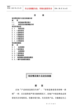 三峡风·时代购物广场项目策划