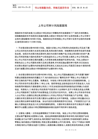 上市公司审计风险面观(doc 5)