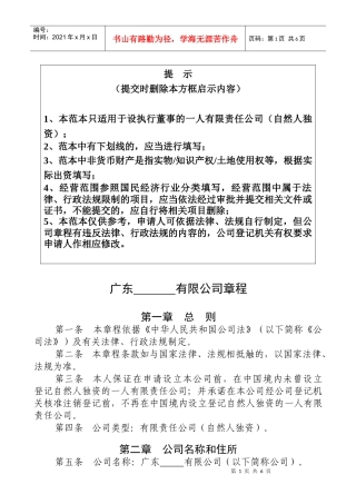 一人(自然人独资)公司章程参考范本(适用于设执行董事)