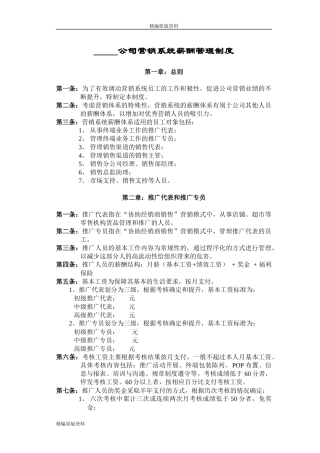 【精编原版】公司营销薪酬管理制度