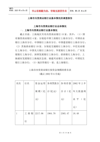 上海市内资商业银行业基本情况的调查报告(doc26页)