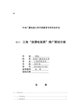 三角“浪漫电饭煲”推广策划案