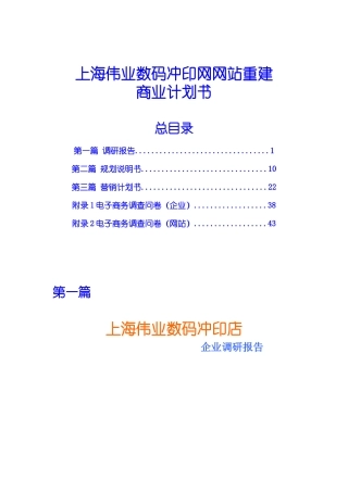 上海伟业数码冲印网网站重建商务计划书