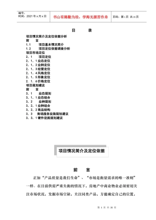 三峡风-时代广场项目策划方案