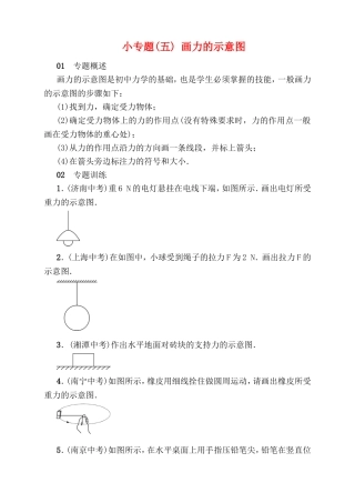 小专题(五)画力的示意图测试题