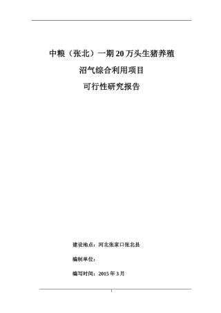万头生猪养殖沼气综合利用项目可行性研究报告