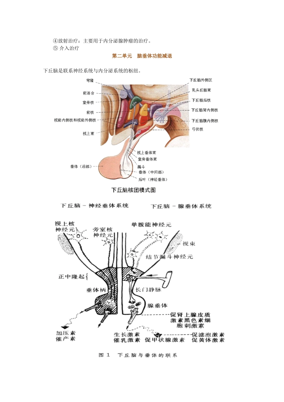 内分泌系统课程知识点梳理汇总_第3页