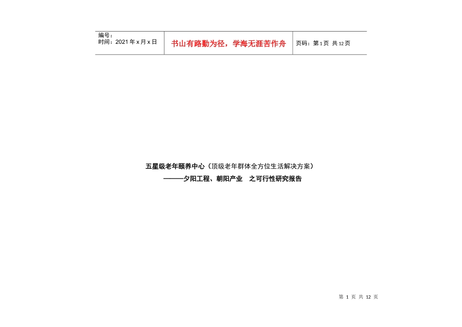 老年公寓策划报告政府用_第1页