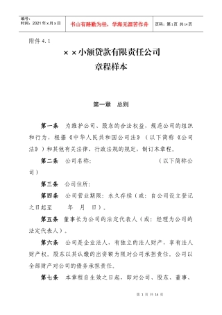 小额贷款有限责任公司章程