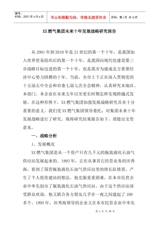 燃气集团未来十年发展战略研究报告