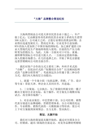大海品牌整合策划纪实doc9)