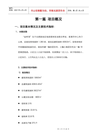 金桥湾年度执行策划案1)