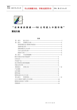 后来者的困惑TEC公司进入中国市场策划方案1)