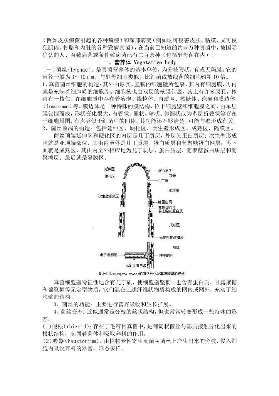 真核微生物知识点梳理汇总_第3页