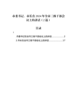 市委书记、市长在2024年全市三级干部会议上的讲话（2篇）