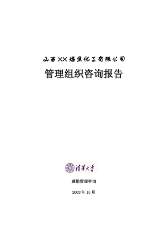 煤焦化工有限公司管理组织咨询报告（DOC34