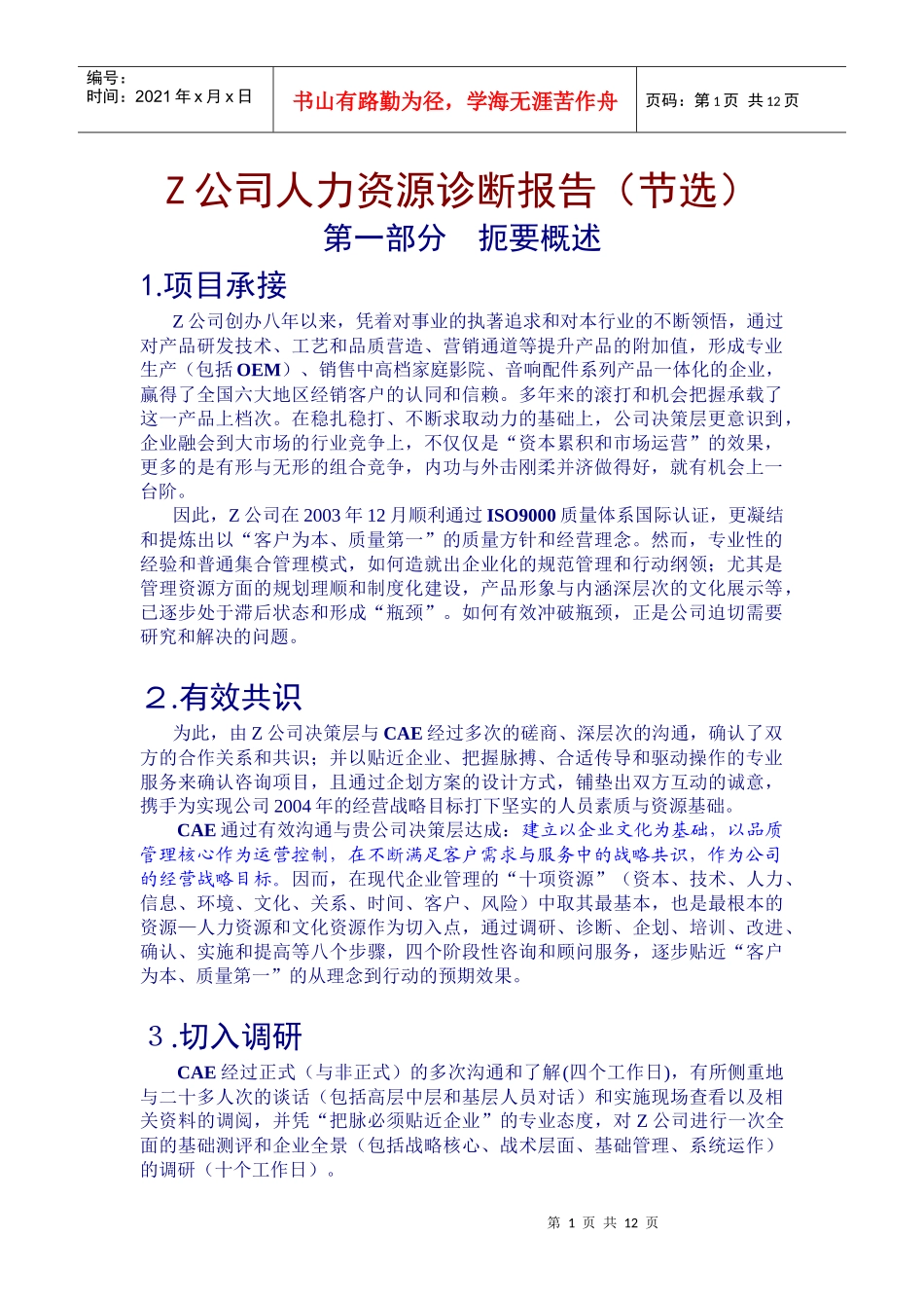 Z公司人力资源诊断报告（节选_第1页