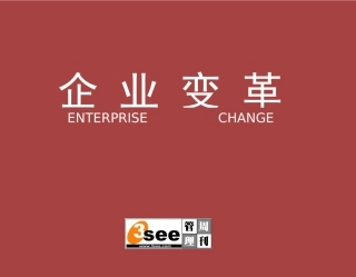 《3see企业变革周刊》某某年第20周