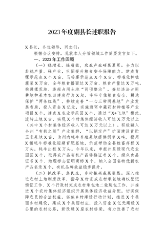 2023年度副县长述职报告