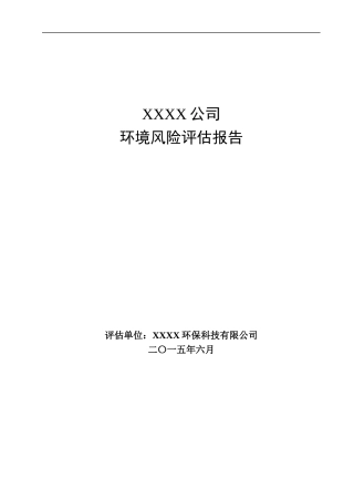 xxxx公司风险评估报告