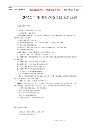 XXXX年宁德重点项目情况汇总表