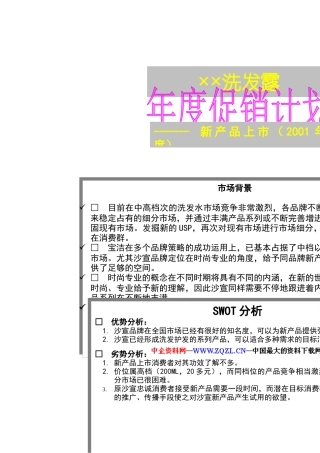 XX产品年度促销计划