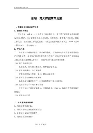 XXXX年武汉东湖·楚天府社区商业项目招商策划方案37p