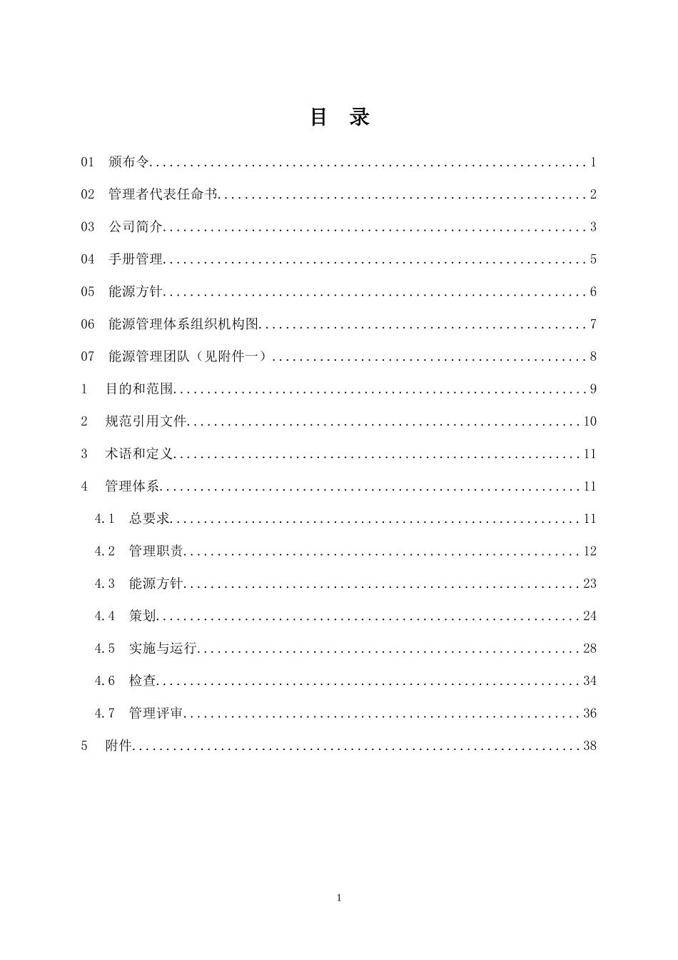 XX公司能源管理手册_第1页