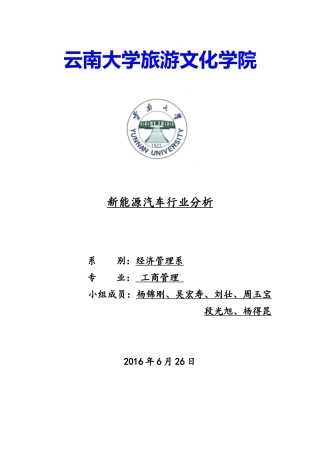 XXXX新能源汽车行业分析