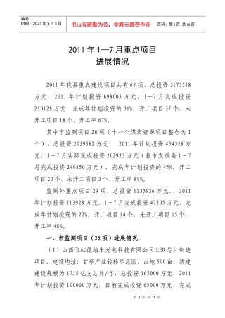 XXXX年重点项目进展情况