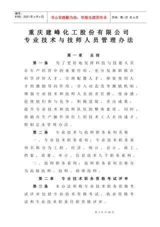 XX公司专业技术与技师人员管理办法