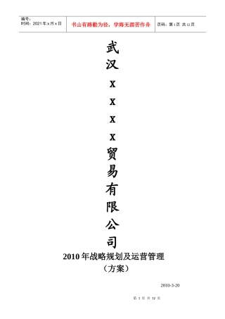 XXXX战略规划及运营流程