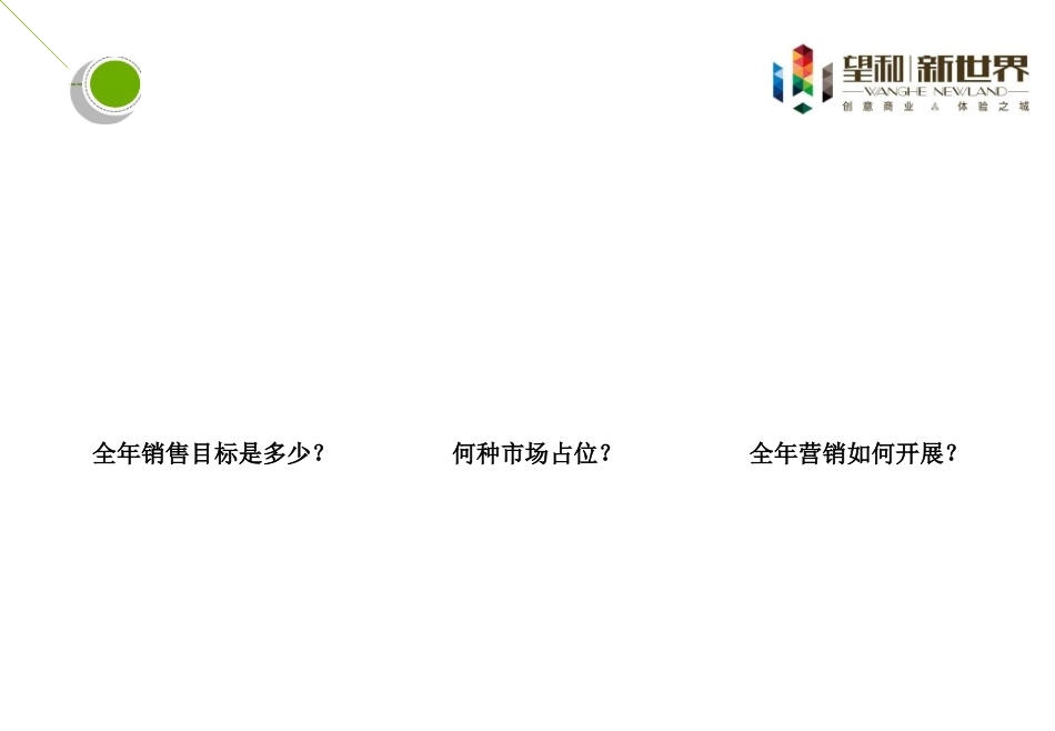 XXXX年望和新世界项目组营销大纲_第2页